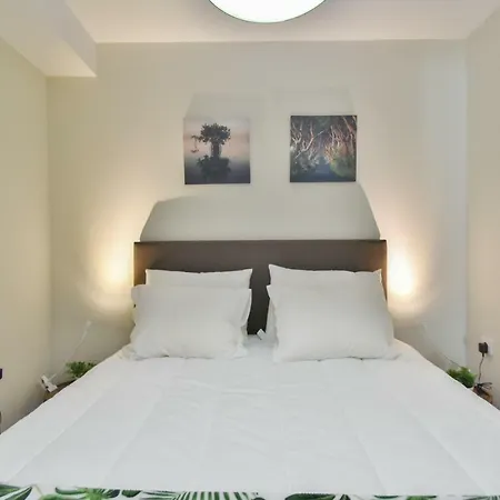 公寓 B Firmeza Terrace 波尔图